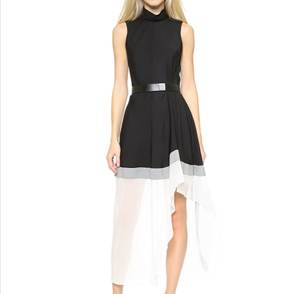 NWOT Theory Dress